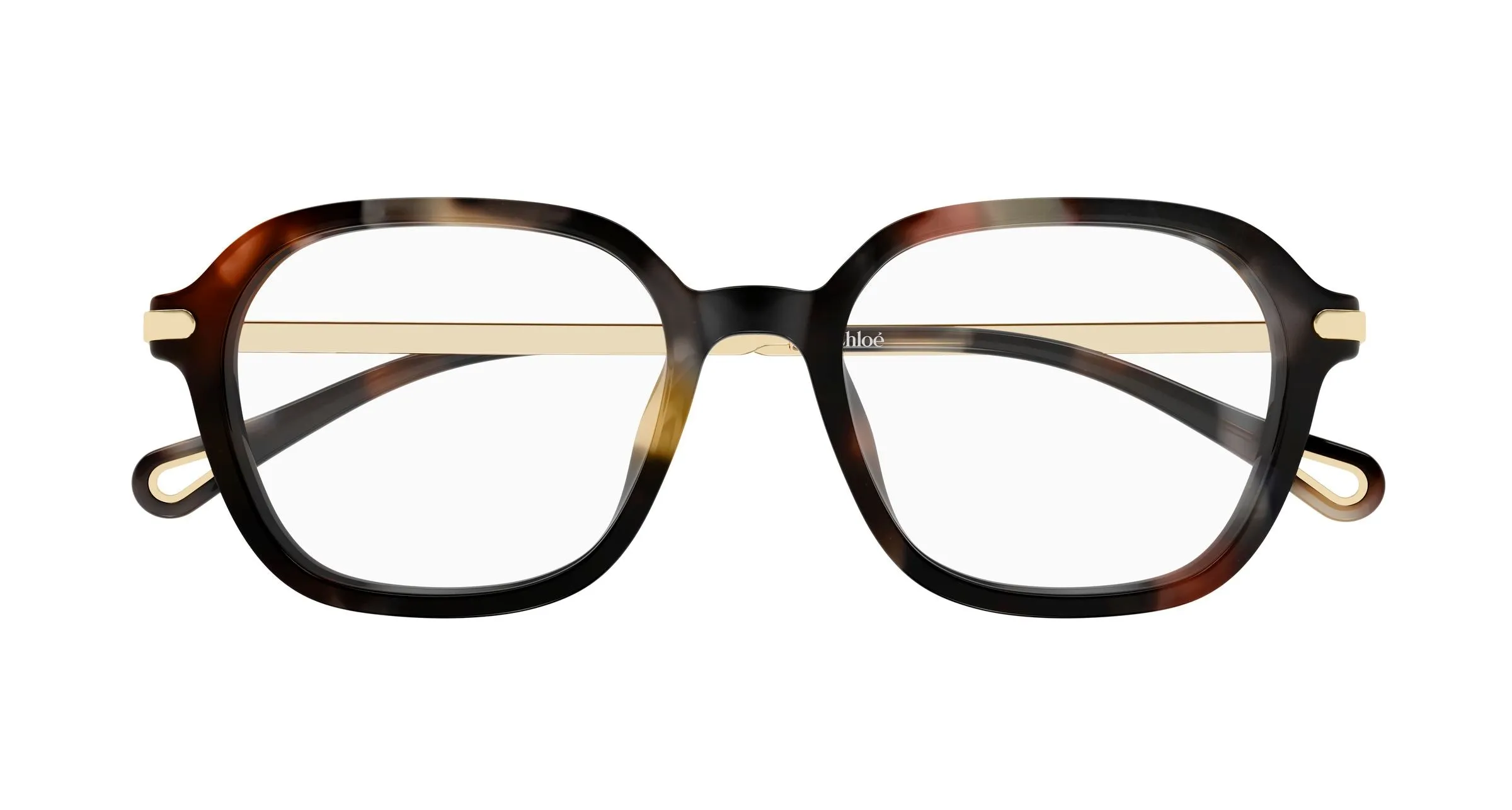 Chloé CH0361OA 002 Montature da vista Acetato Havana Trasparente Squadrata - immagine 2