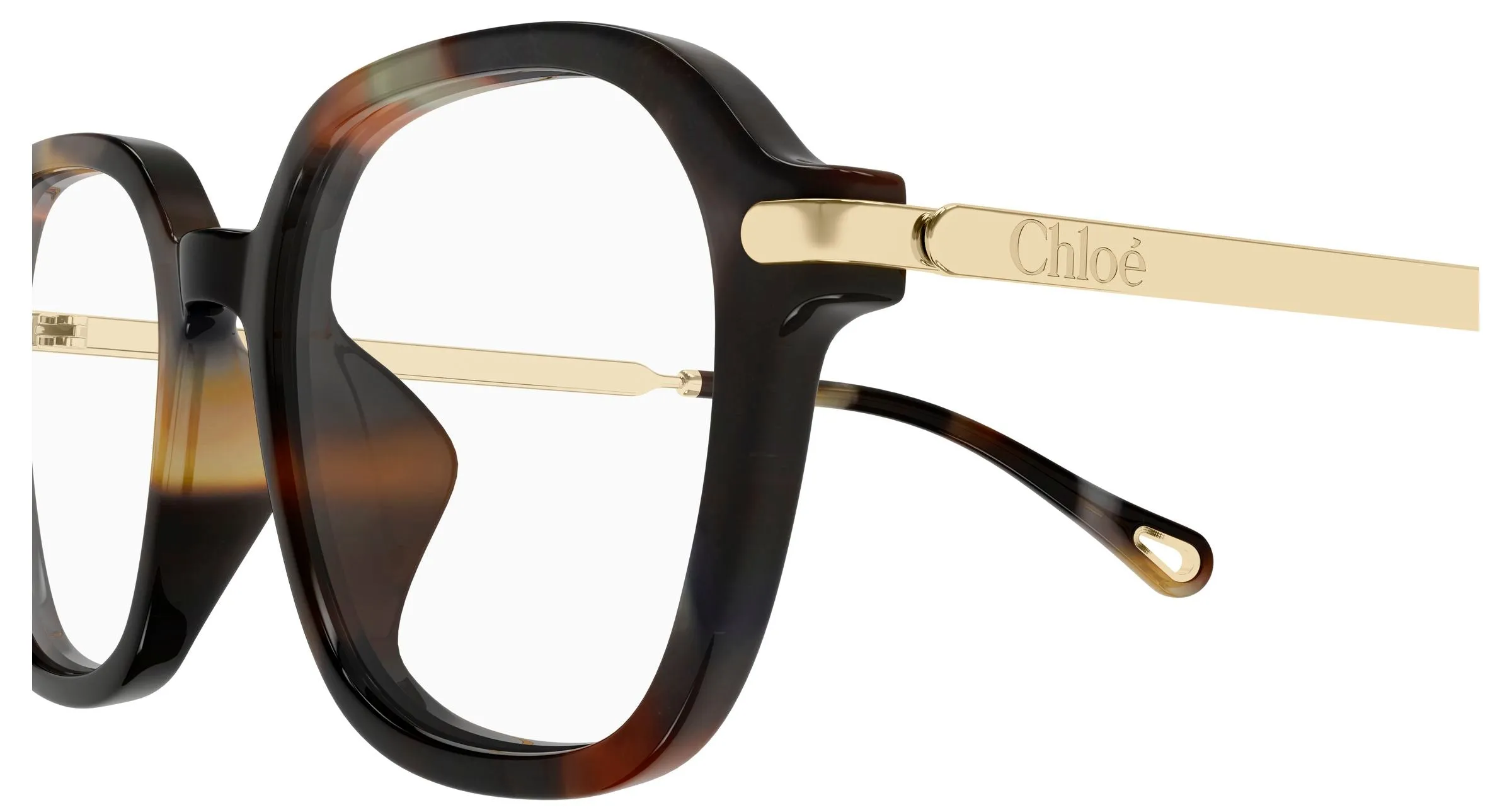 Chloé CH0361OA 002 Montature da vista Acetato Havana Trasparente Squadrata - immagine 3