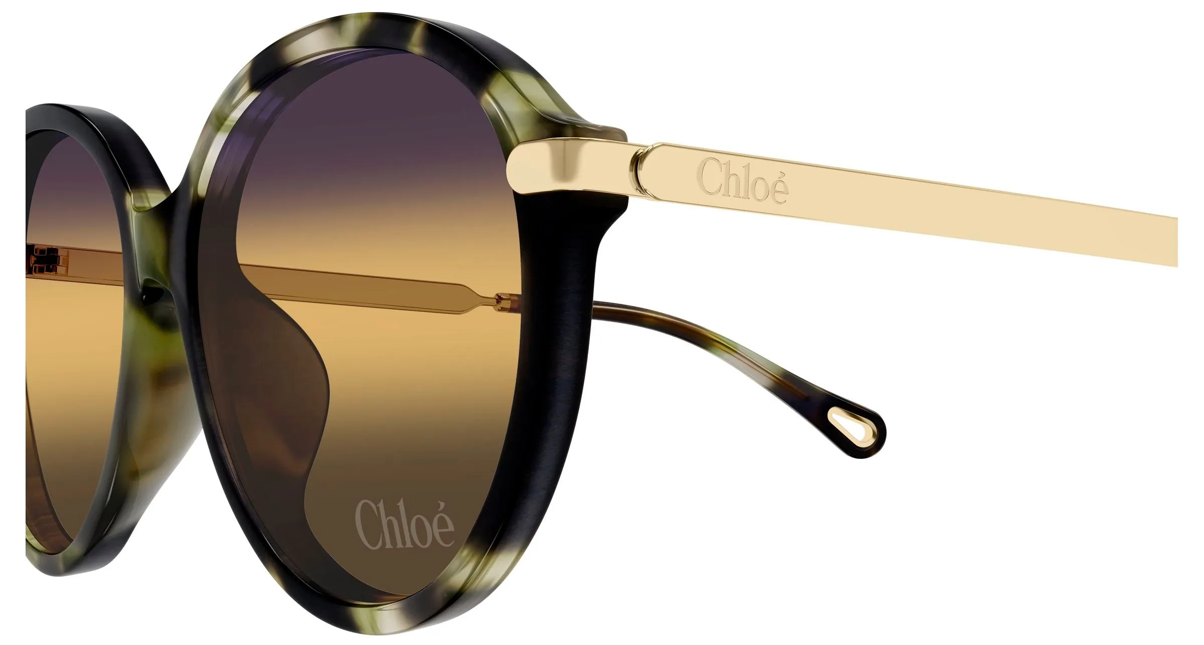 Chloé CH0358SK 003 Occhiali da sole Acetato Havana Giallo Rotonda Sfumato - immagine 3
