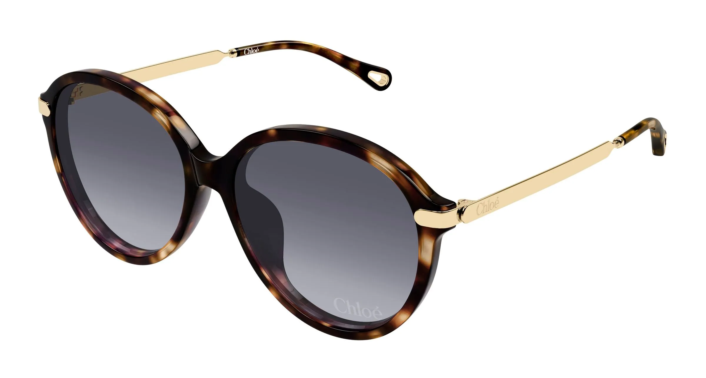 Chloé CH0358SK 002 Occhiali da sole Acetato Havana Viola Rotonda Sfumato - immagine 1