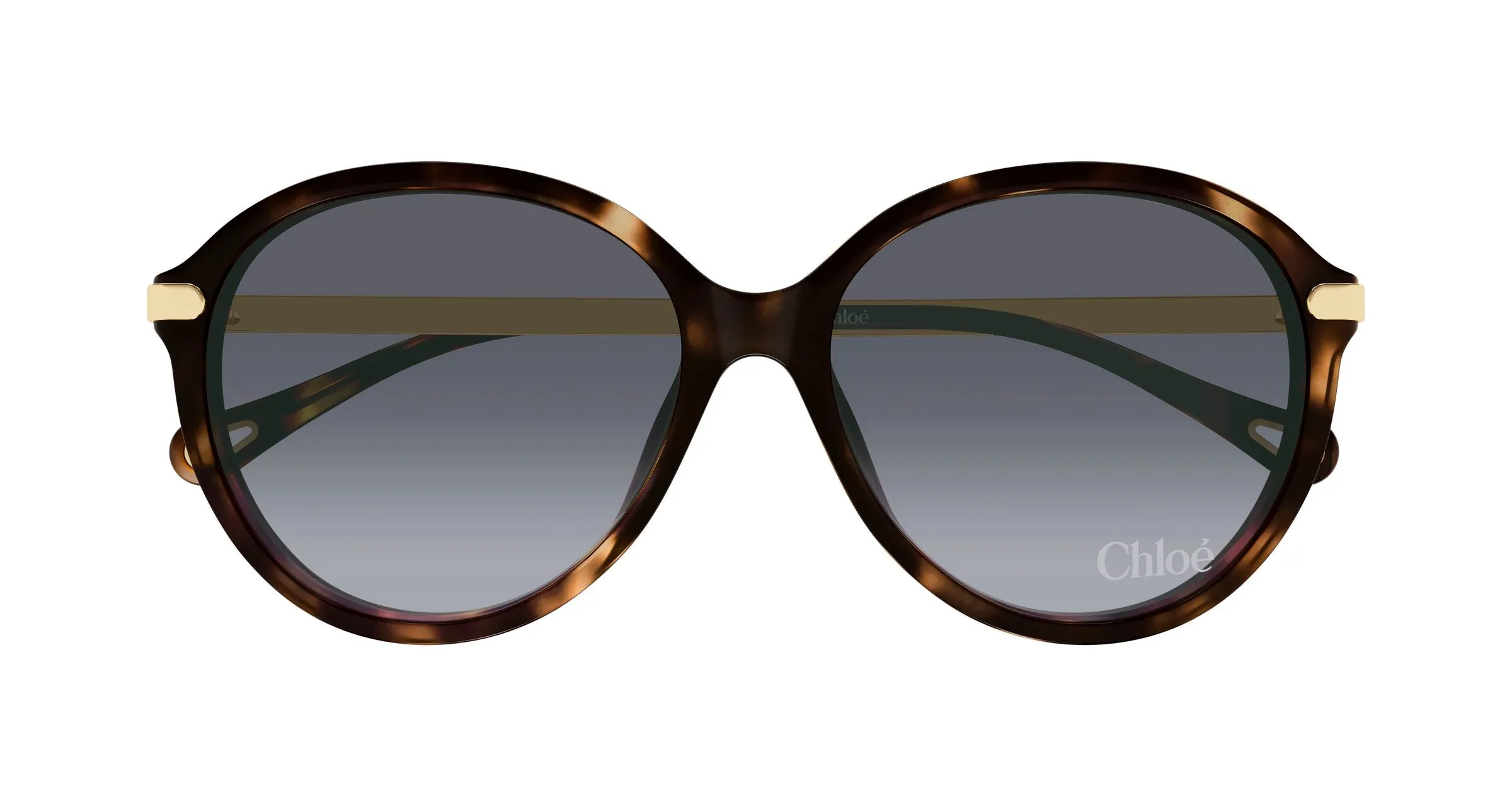 Chloé CH0358SK 002 Occhiali da sole Acetato Havana Viola Rotonda Sfumato - immagine 2