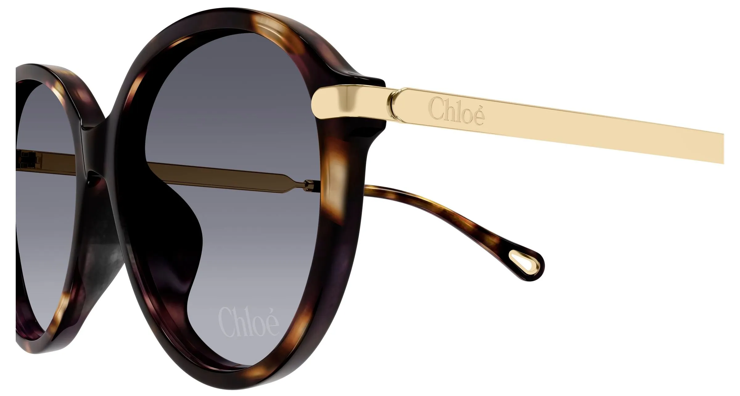 Chloé CH0358SK 002 Occhiali da sole Acetato Havana Viola Rotonda Sfumato - immagine 3