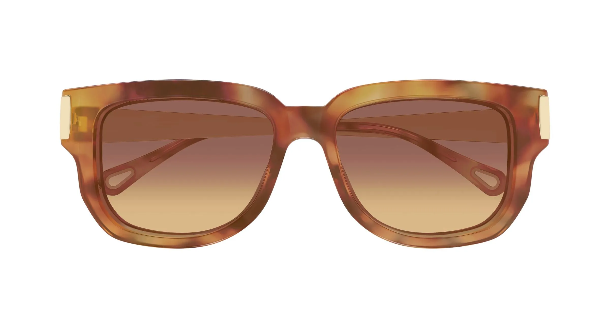 Chloé CH0351S 002 Occhiali da sole Acetato Havana Marrone Squadrata Sfumato - immagine 2