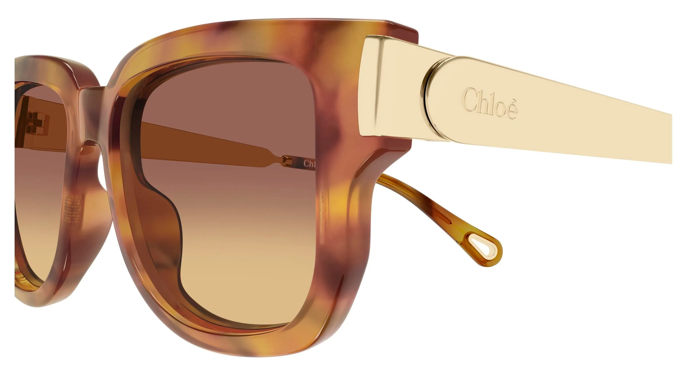 Chloé CH0351S 002 Occhiali da sole Acetato Havana Marrone Squadrata Sfumato - immagine 3