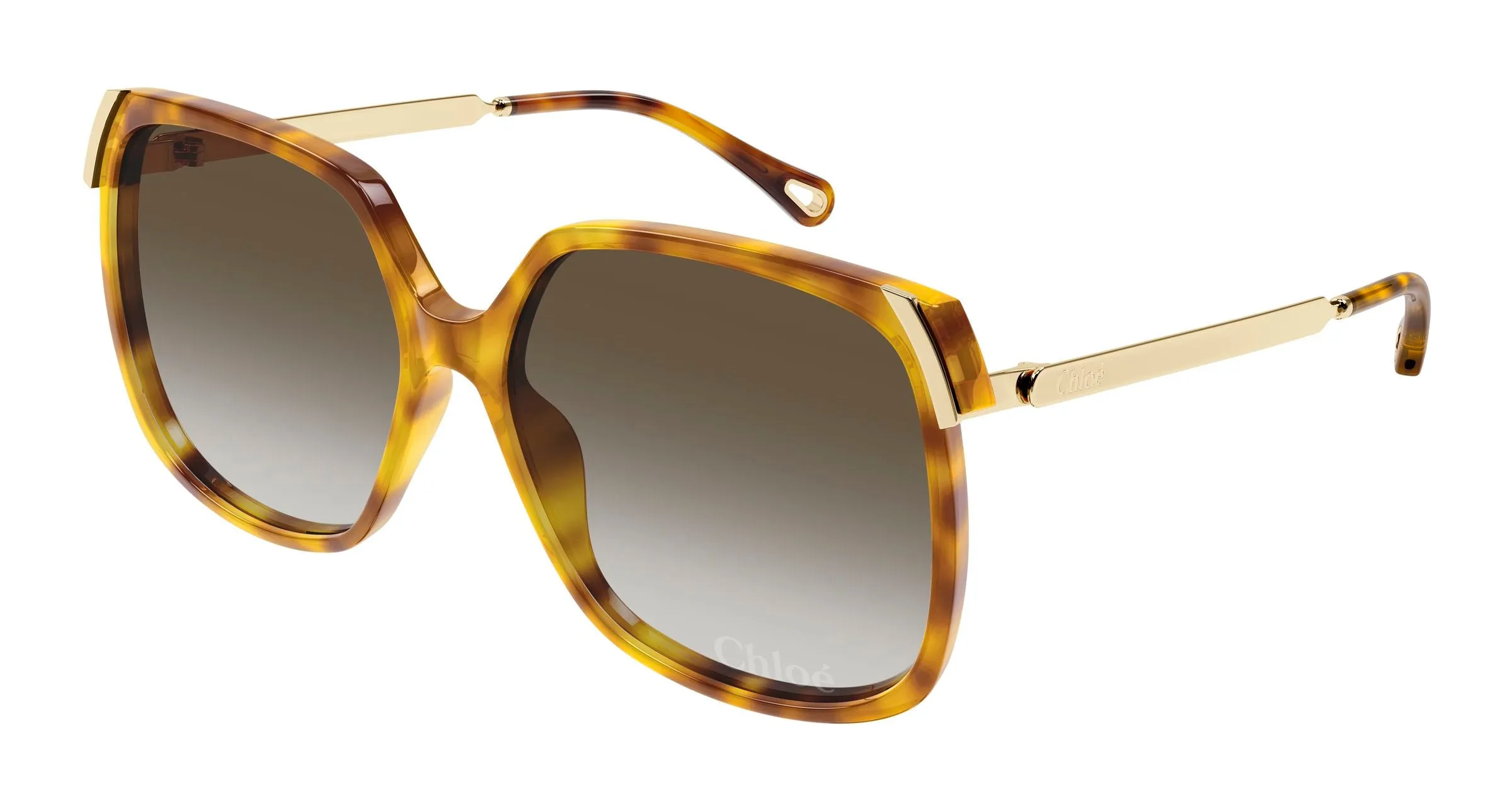 Chloé CH0286S 010 Occhiali da sole Acetato Havana Verde Squadrata Sfumato - immagine 1