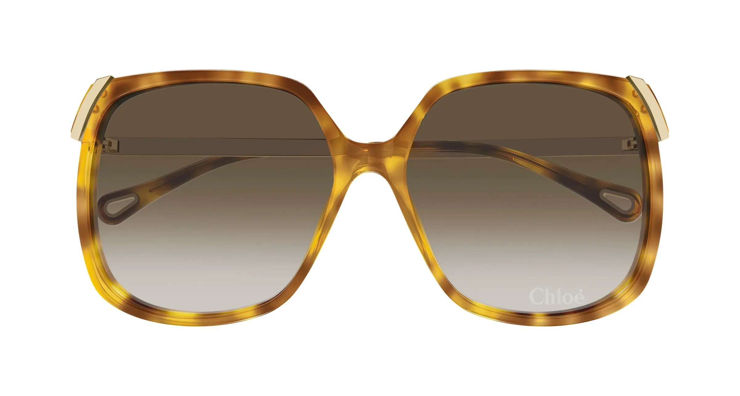 Chloé CH0286S 010 Occhiali da sole Acetato Havana Verde Squadrata Sfumato - immagine 2