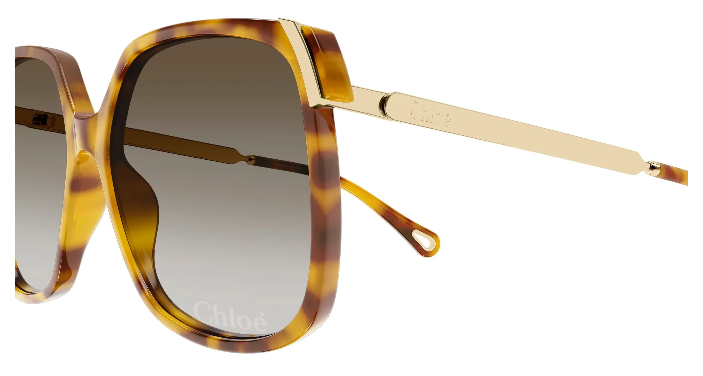 Chloé CH0286S 010 Occhiali da sole Acetato Havana Verde Squadrata Sfumato - immagine 3