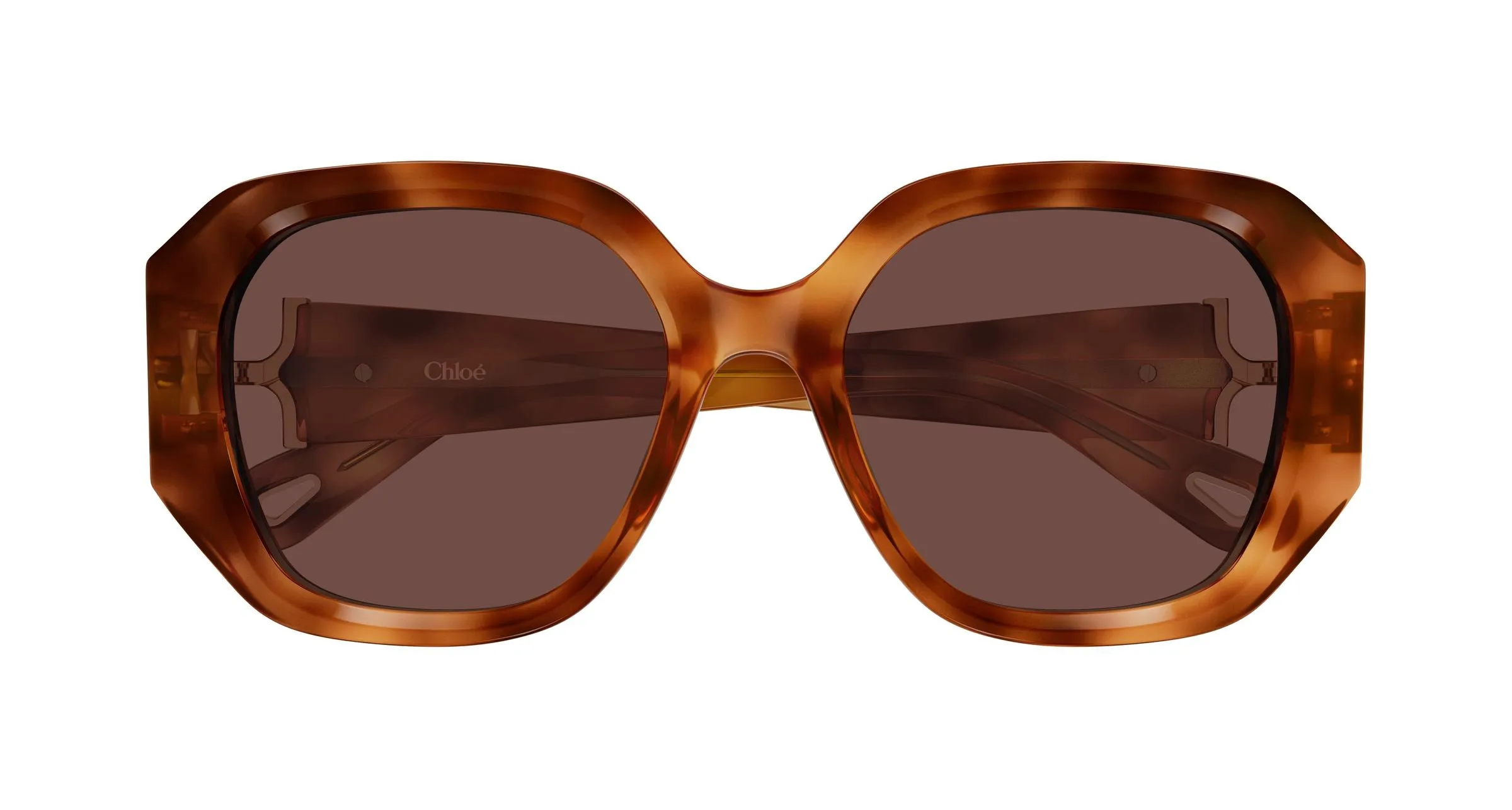 Chloé CH0236S 006 Occhiali da sole Acetato Havana Marrone Squadrata - immagine 2