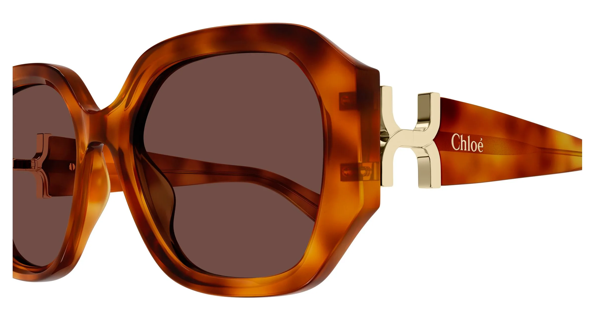 Chloé CH0236S 006 Occhiali da sole Acetato Havana Marrone Squadrata - immagine 3