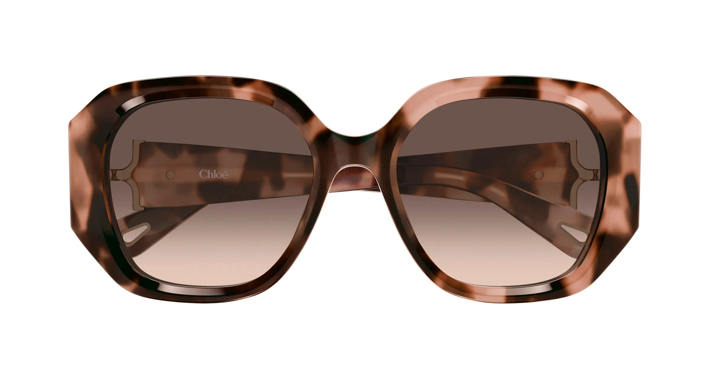 Chloé CH0236S 005 Occhiali da sole Acetato Havana Marrone Squadrata Sfumato - immagine 2