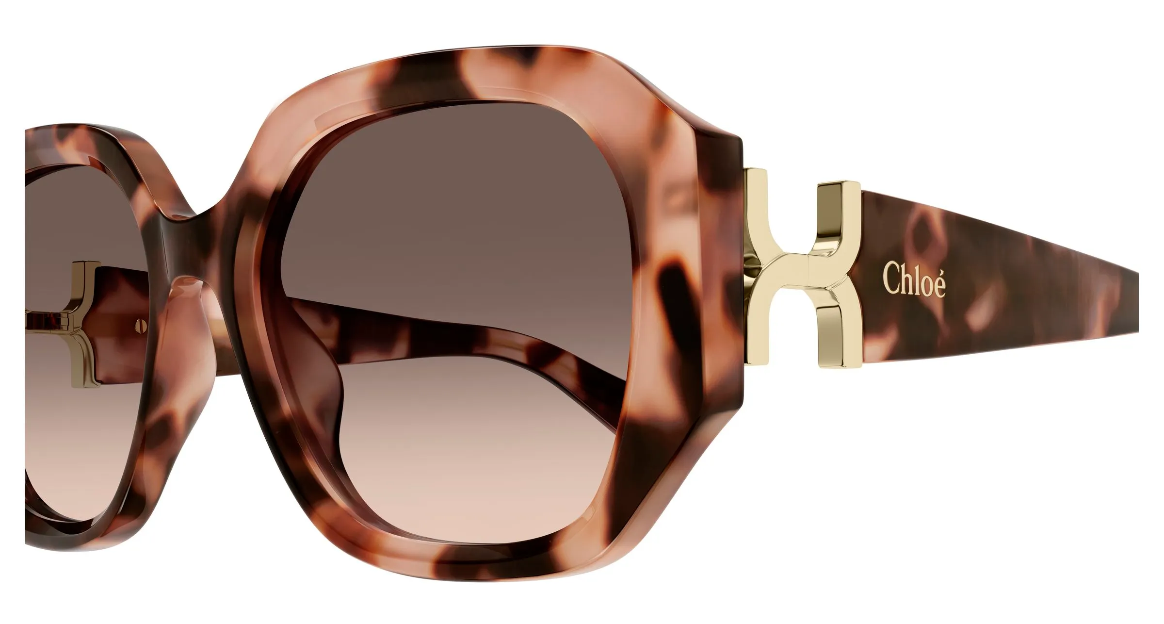 Chloé CH0236S 005 Occhiali da sole Acetato Havana Marrone Squadrata Sfumato - immagine 3
