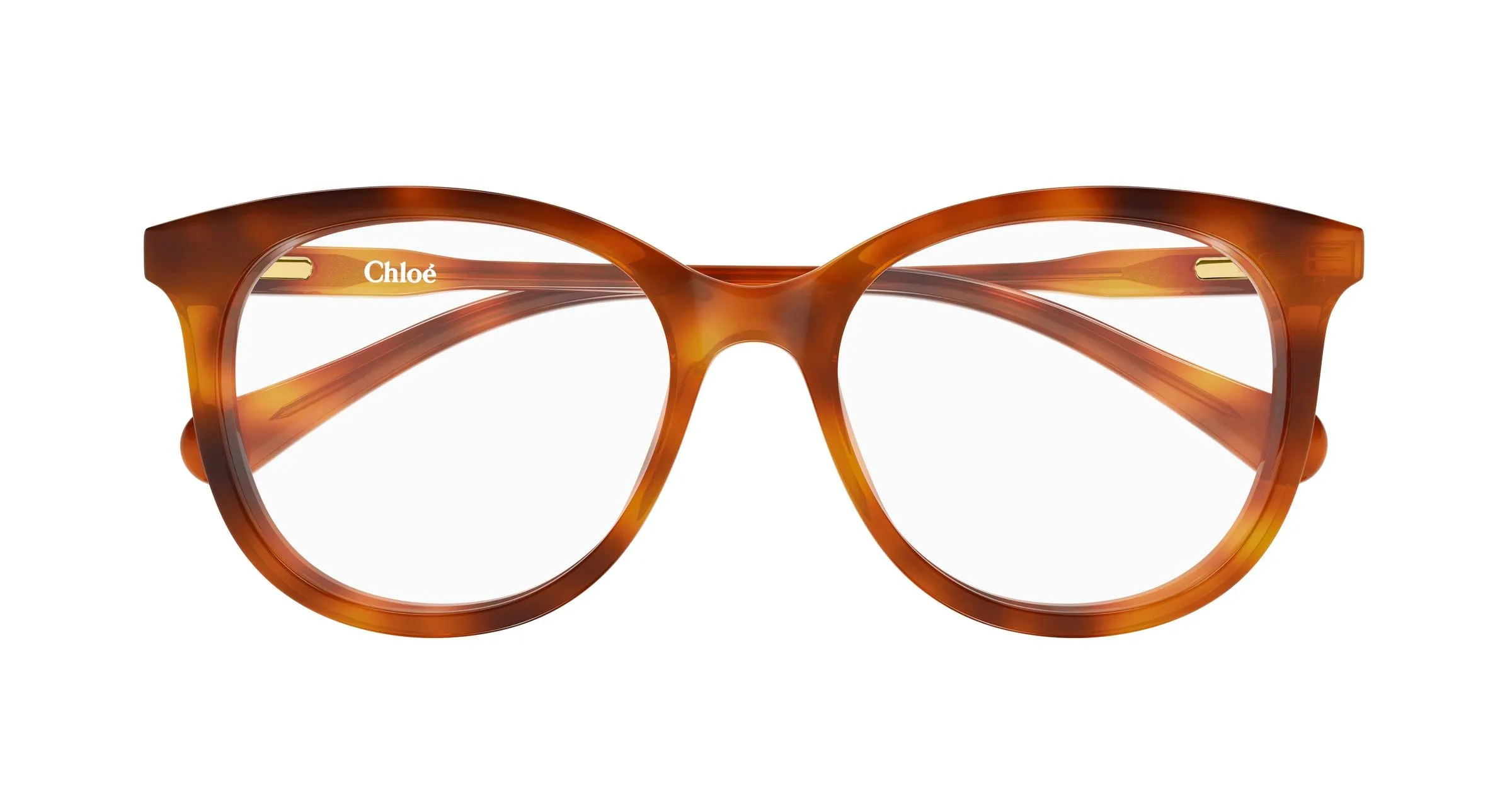 Chloé CC0028O 003 Montature da vista bambino Acetato Havana Trasparente Rotonda - immagine 2