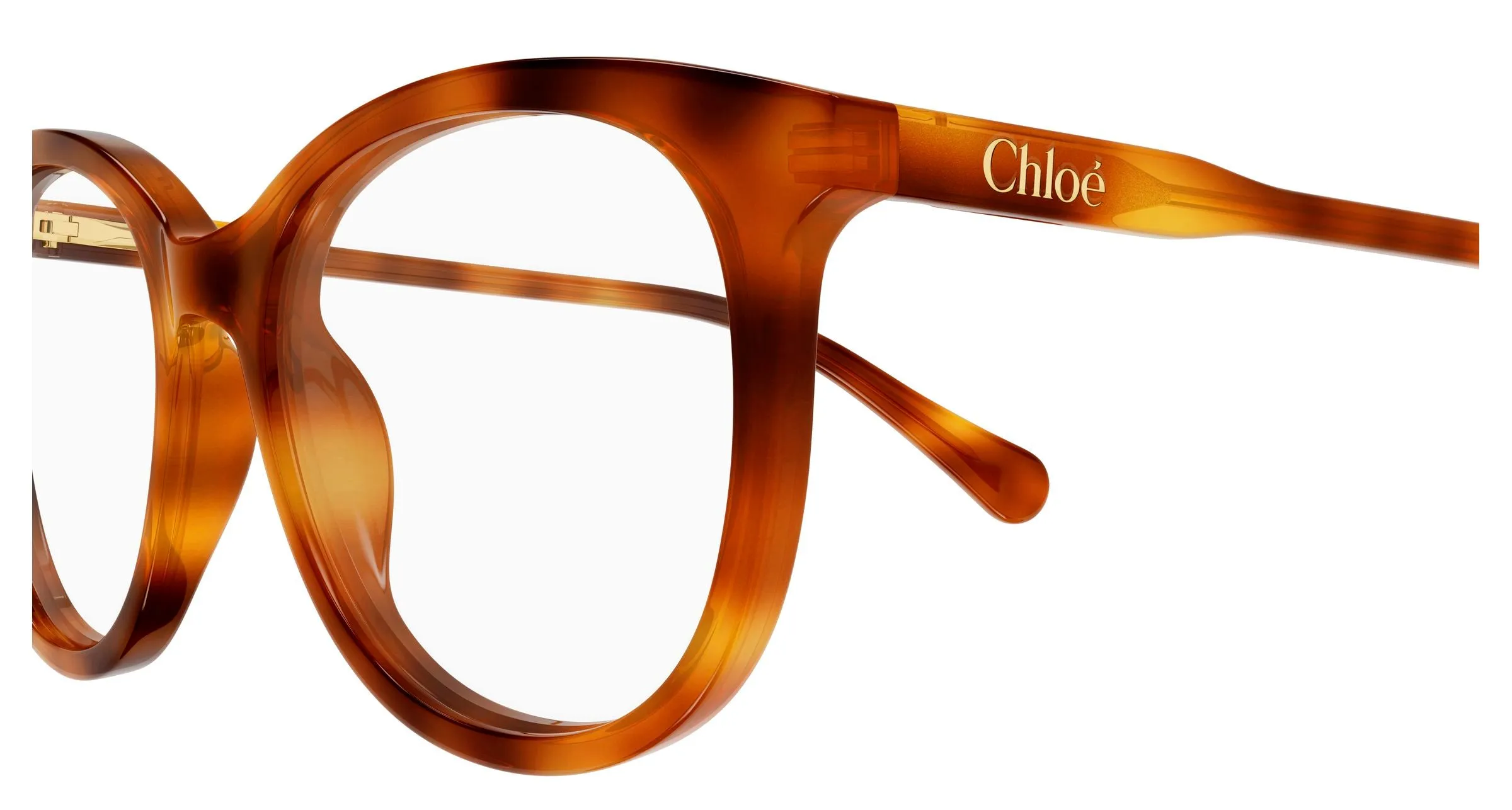 Chloé CC0028O 003 Montature da vista bambino Acetato Havana Trasparente Rotonda - immagine 3
