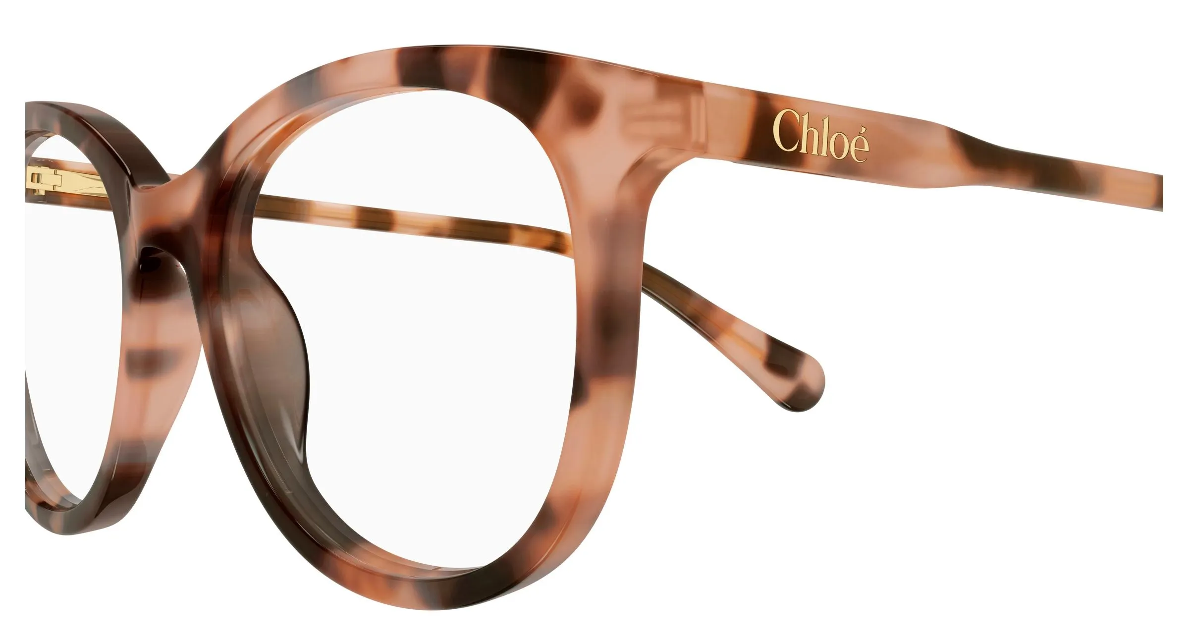 Chloé CC0028O 002 Montature da vista bambino Acetato Havana Trasparente Rotonda - immagine 3
