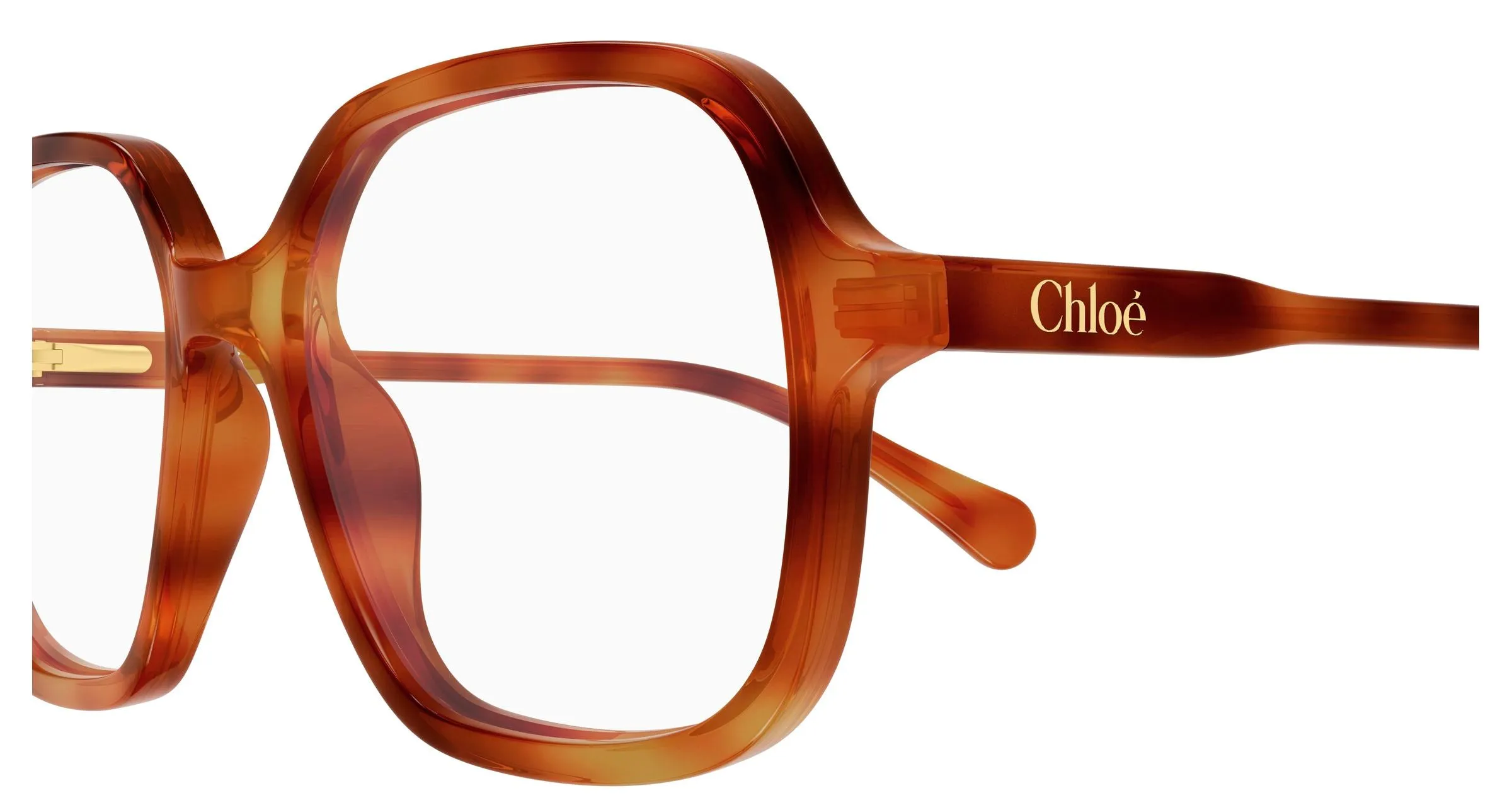 Chloé CC0027O 003 Montature da vista bambino Acetato Havana Trasparente Geometrica - immagine 3