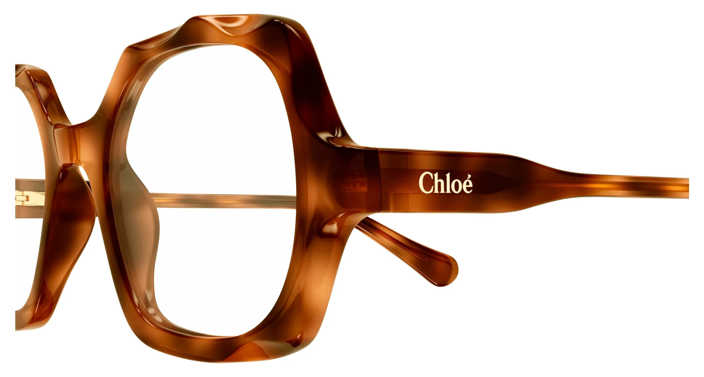 Chloé CC0026O 001 Montature da vista bambino Acetato Havana Trasparente Squadrata - immagine 3