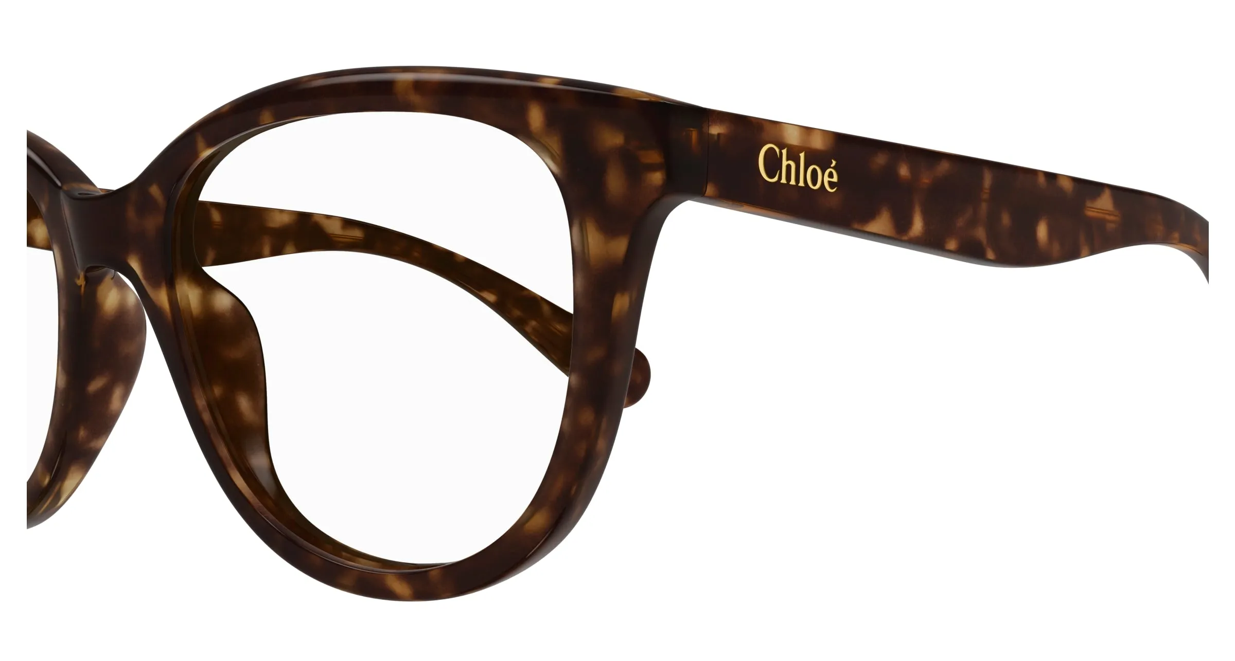 Chloé CC0021O 002 Montature da vista bambino Acetato Havana Trasparente Rotonda - immagine 3