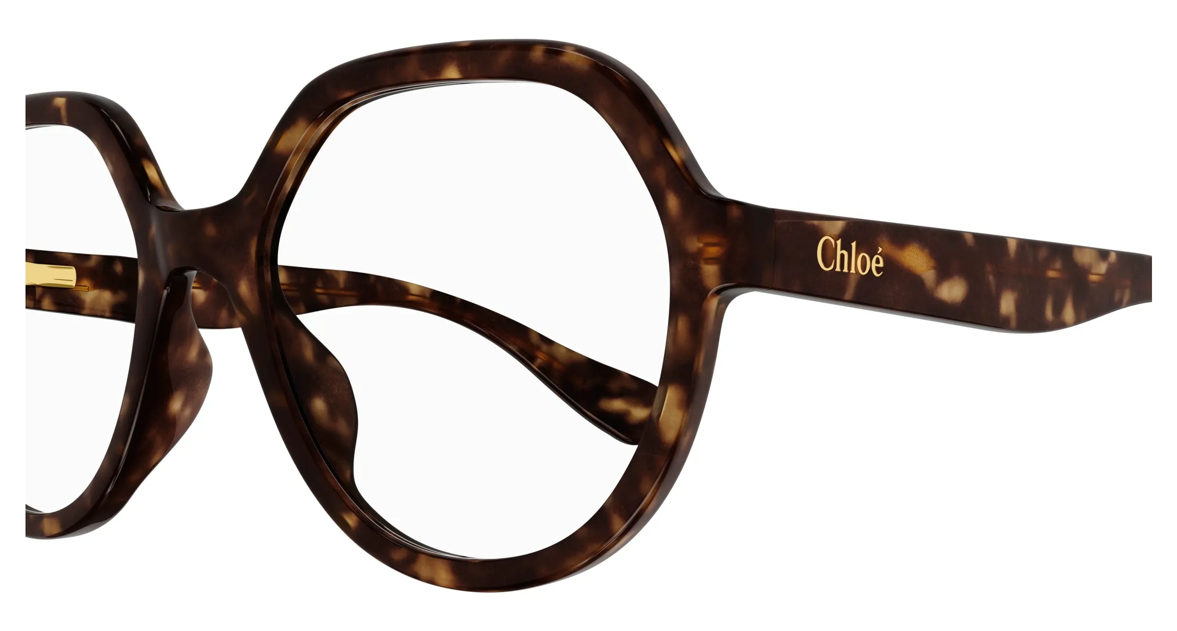 Chloé CC0020O 002 Montature da vista bambino Acetato Havana Trasparente Rotonda - immagine 3