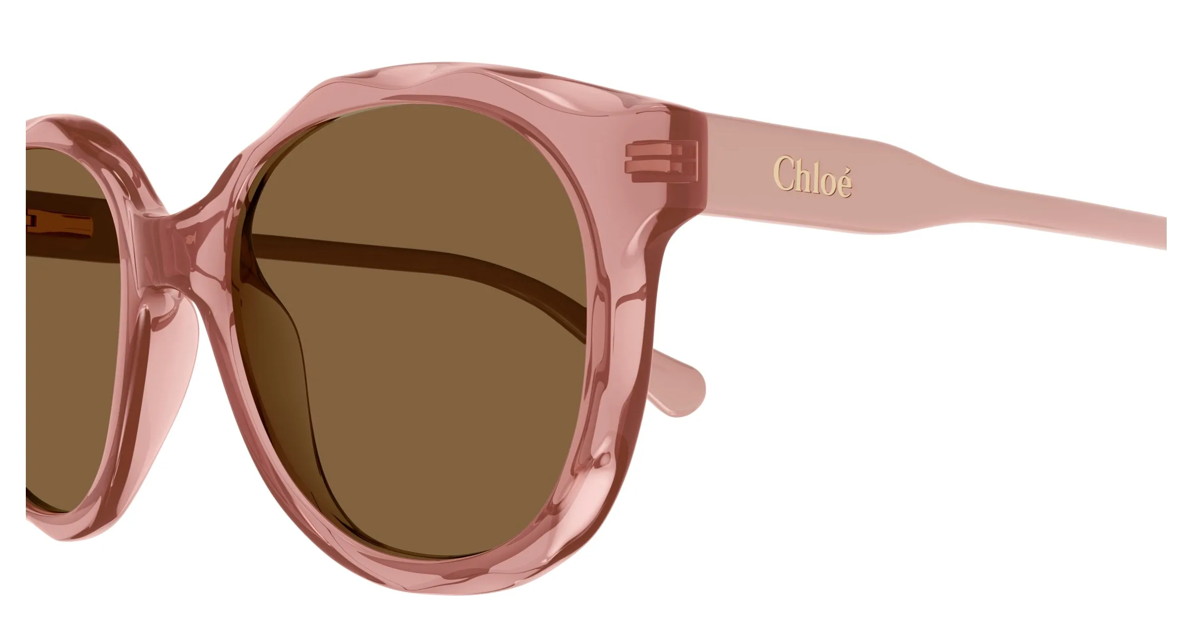 Chloé CC0019S 002 Occhiali da sole bambino Acetato Rosa Marrone Rotonda - immagine 3
