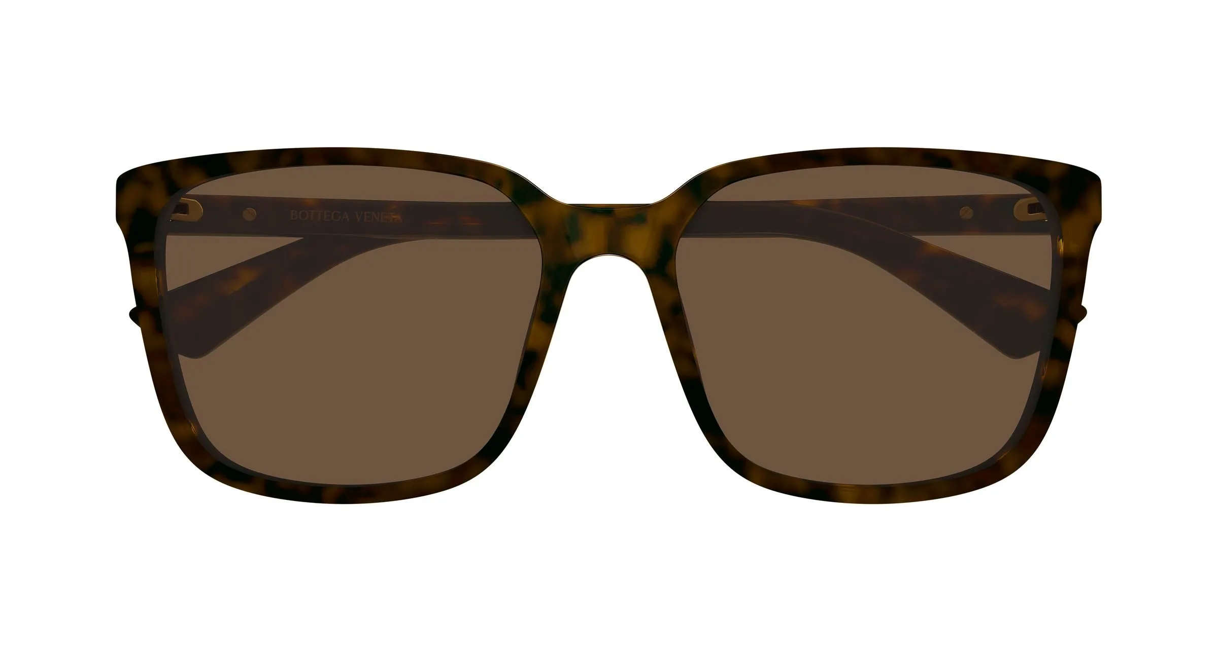 Bottega Veneta BV1516SK 002 Occhiali da sole Acetato Havana Marrone Squadrata - immagine 2