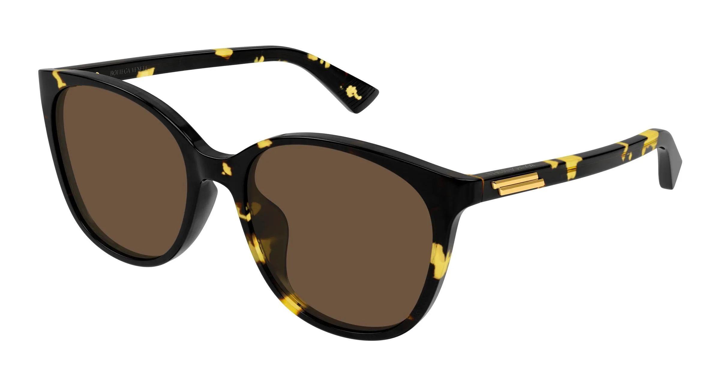 Bottega Veneta BV1515SK 002 Occhiali da sole Acetato Havana Marrone Cat Eye - immagine 1