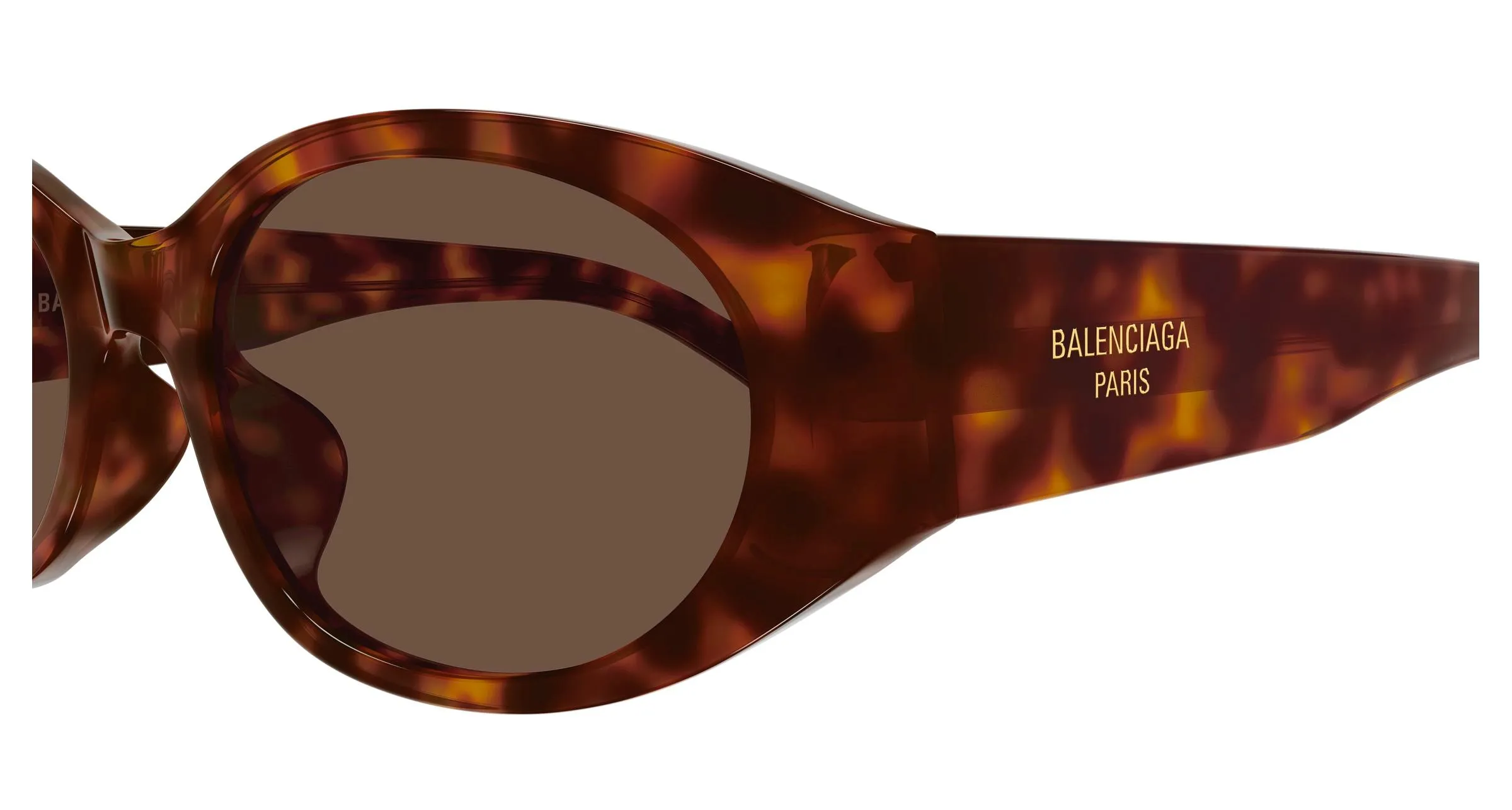 Balenciaga BB0369SK 005 Occhiali da sole Acetato Havana Marrone Rotonda - immagine 3