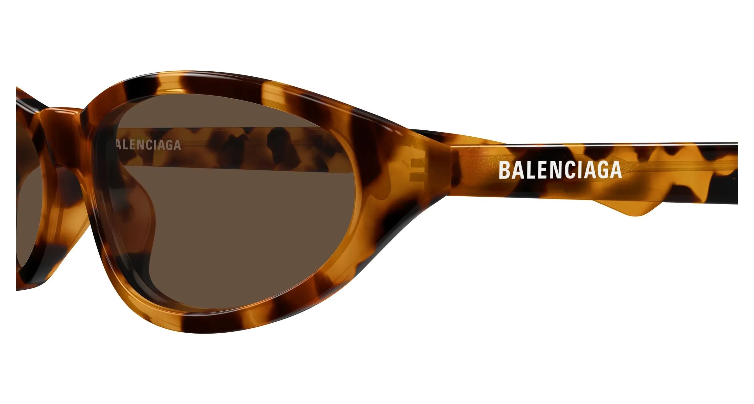 Balenciaga BB0007S 018 Occhiali da sole Acetato Havana Marrone Rotonda - immagine 3
