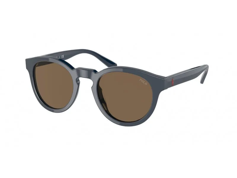 Polo Ralph Lauren PH4184 562073 Occhiali da sole Acetato Blu Marrone Pantos Normale - immagine 1