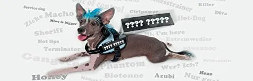 Julius-K9 162B0 Pettorina K9, Blu - immagine 7