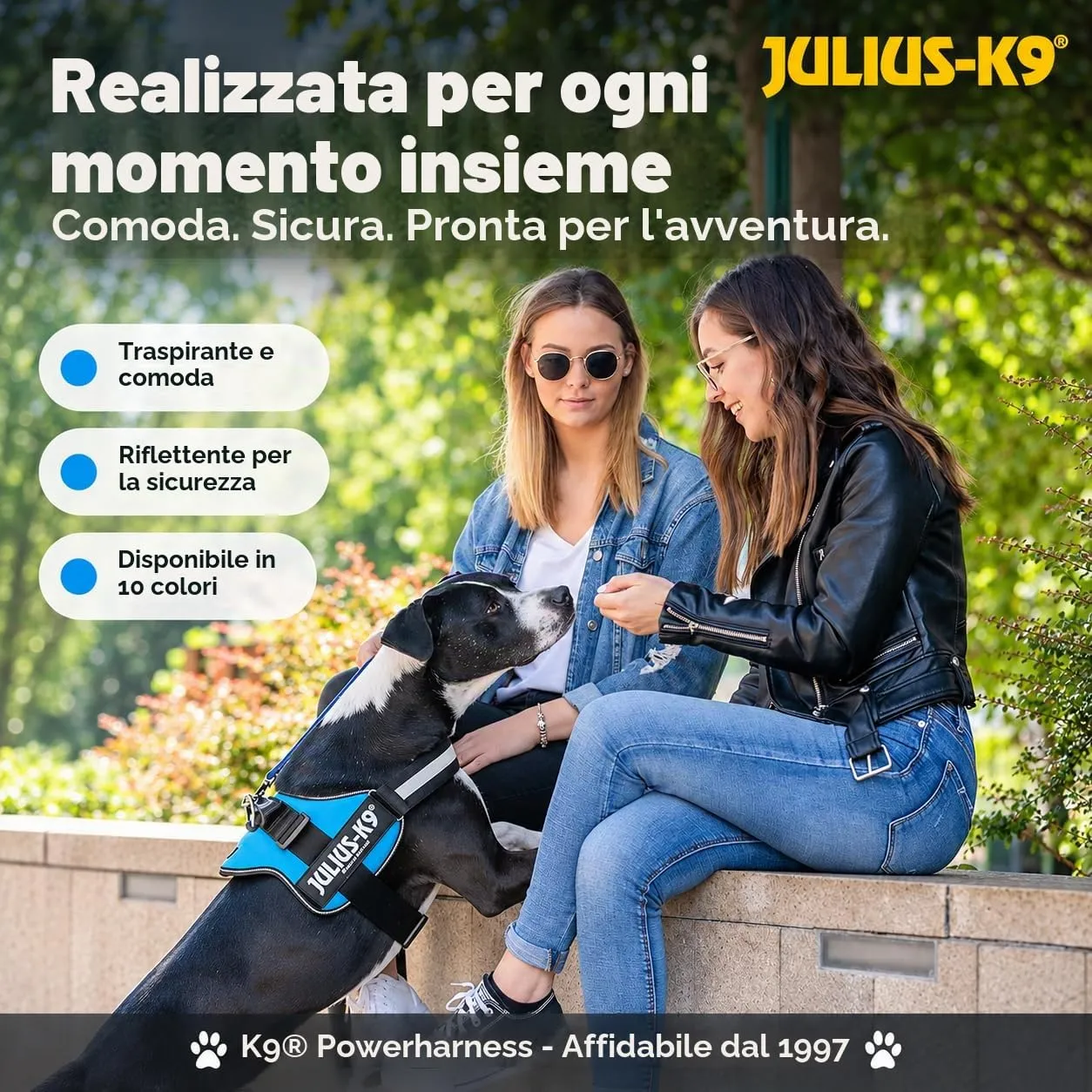 Julius-K9 162R2 Pettorina K9, Rosso - immagine 3