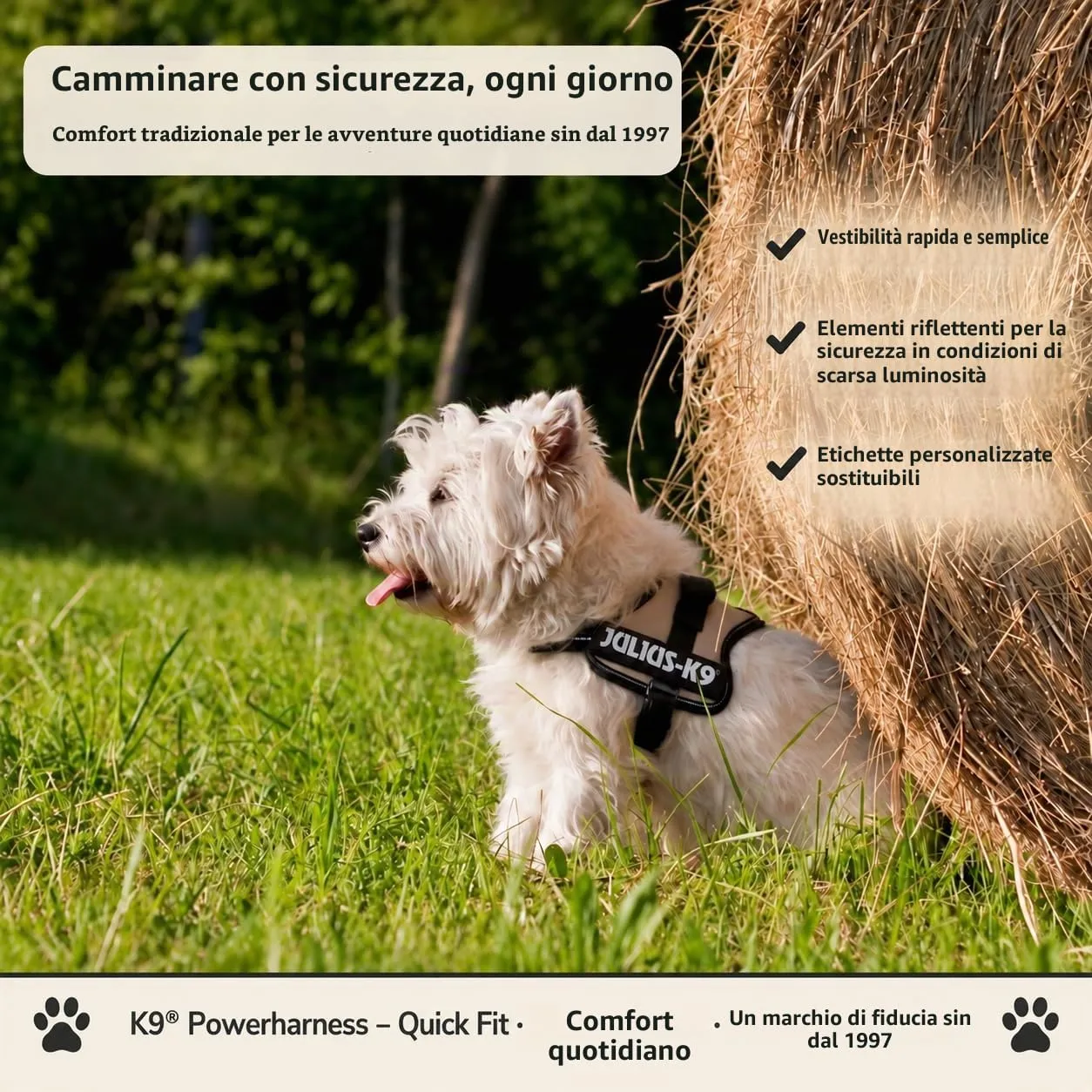 Julius-K9 162P-MM Pettorina K9, Nero - immagine 3
