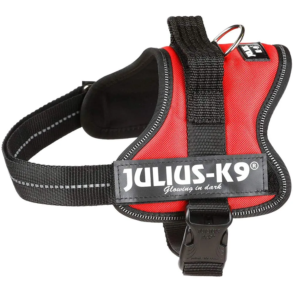 Julius-K9 162AM-MM Pettorina K9, Acquamarina - immagine 7