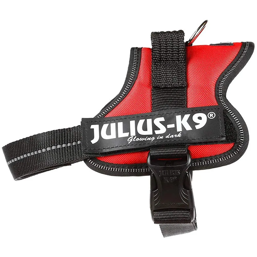 Julius-K9 162AM-MM Pettorina K9, Acquamarina - immagine 8