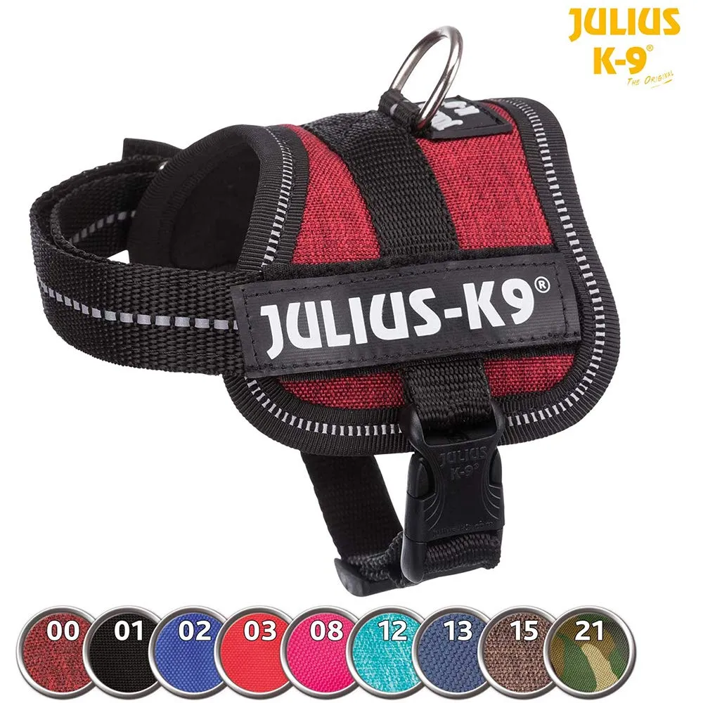 Julius-K9 162AM-MM Pettorina K9, Acquamarina - immagine 9