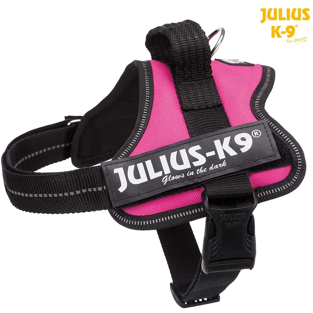 Julius-K9 162AM-M Pettorina K9, Acquamarina - immagine 2