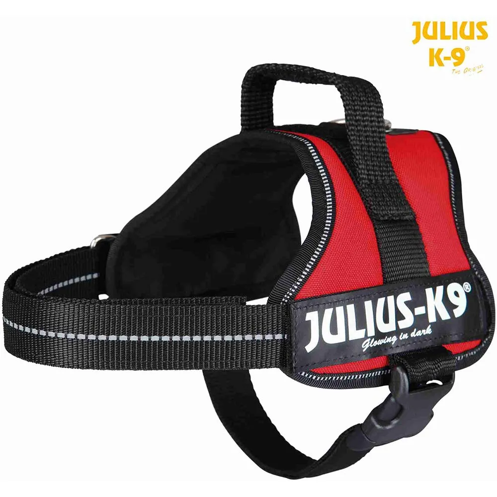 Julius-K9 162AM-M Pettorina K9, Acquamarina - immagine 5