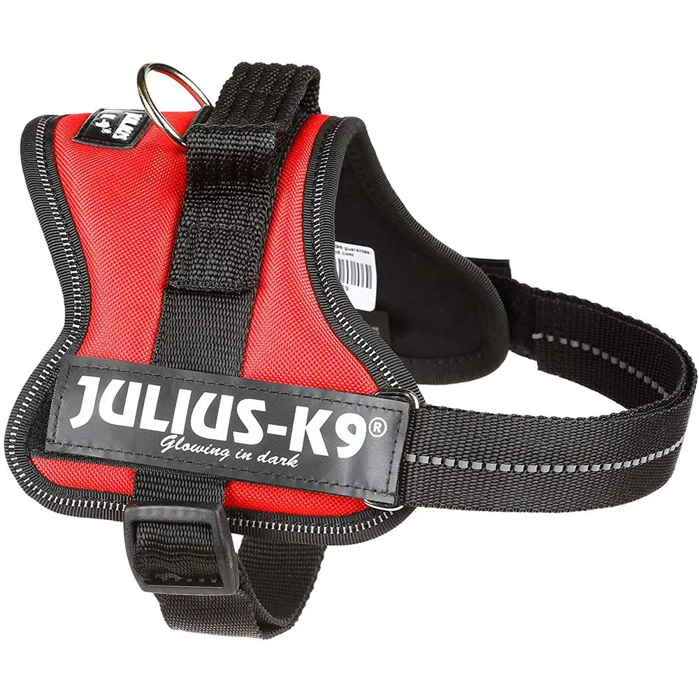 Julius-K9 162AM-M Pettorina K9, Acquamarina - immagine 6
