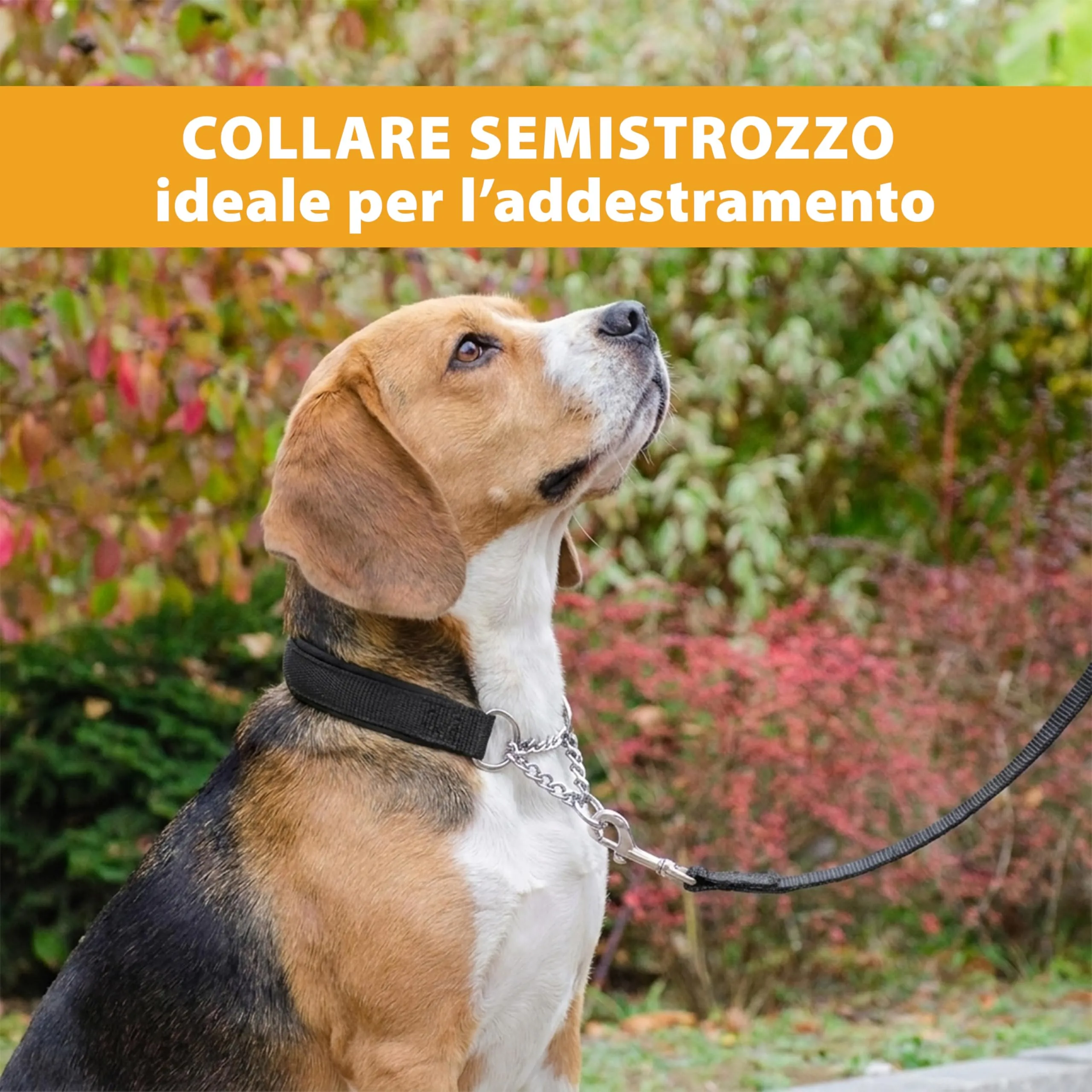 Ferplast Collare Cane Semistrozzo, in Nylon, Imbottito, Anti-trazione, per Addestramento Cani, Taglia ML (Circonferenza Collo 40-50 cm), Nero. - immagine 5