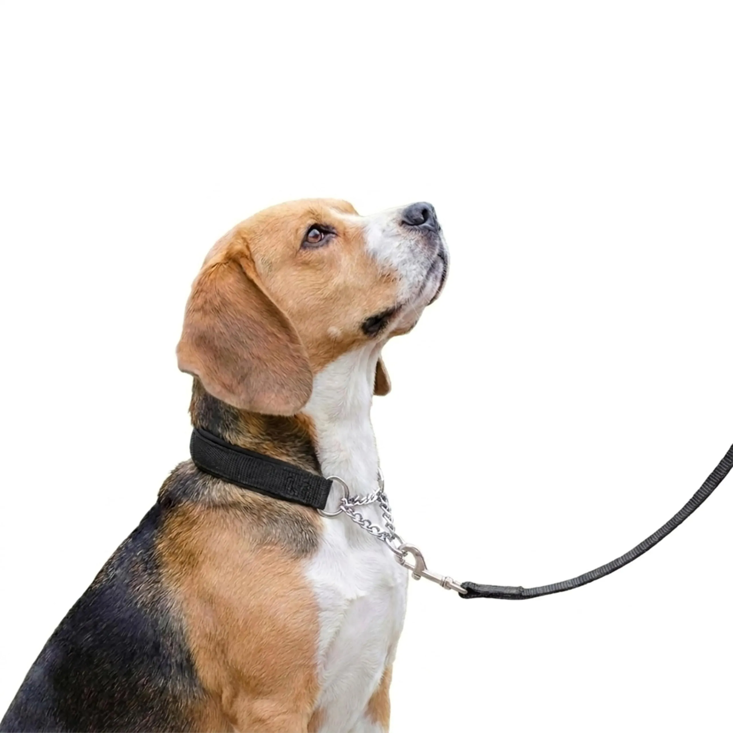 Ferplast Collare Cane Semistrozzo, in Nylon, Imbottito, Anti-trazione, per Addestramento Cani, Taglia ML (Circonferenza Collo 40-50 cm), Nero. - immagine 6