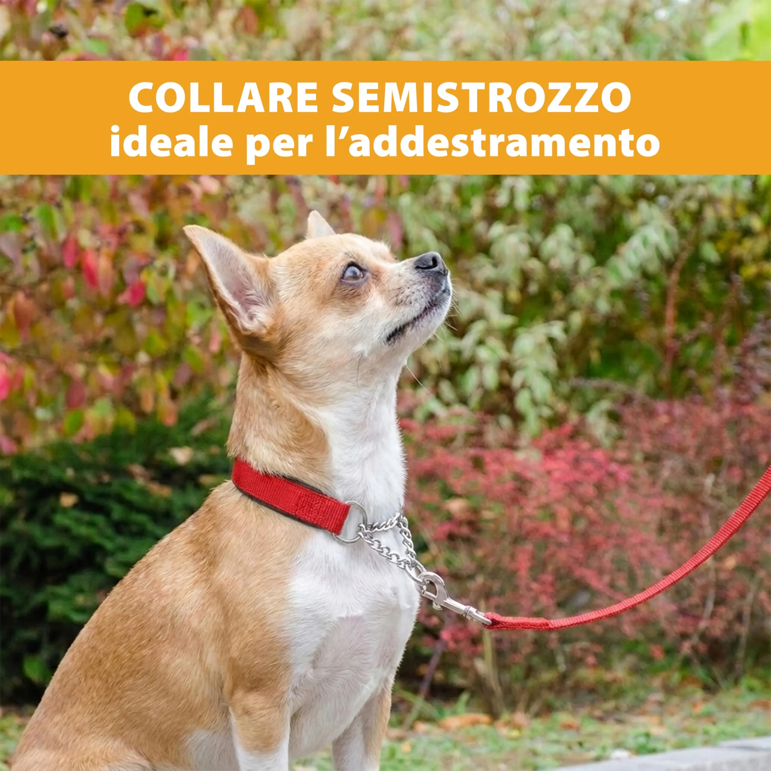 Ferplast Collare Cane Semistrozzo, in Nylon, Imbottito, Anti-trazione, per Addestramento Cani, Taglia M (Circonferenza Collo 33-45 cm), Rosso. - immagine 5