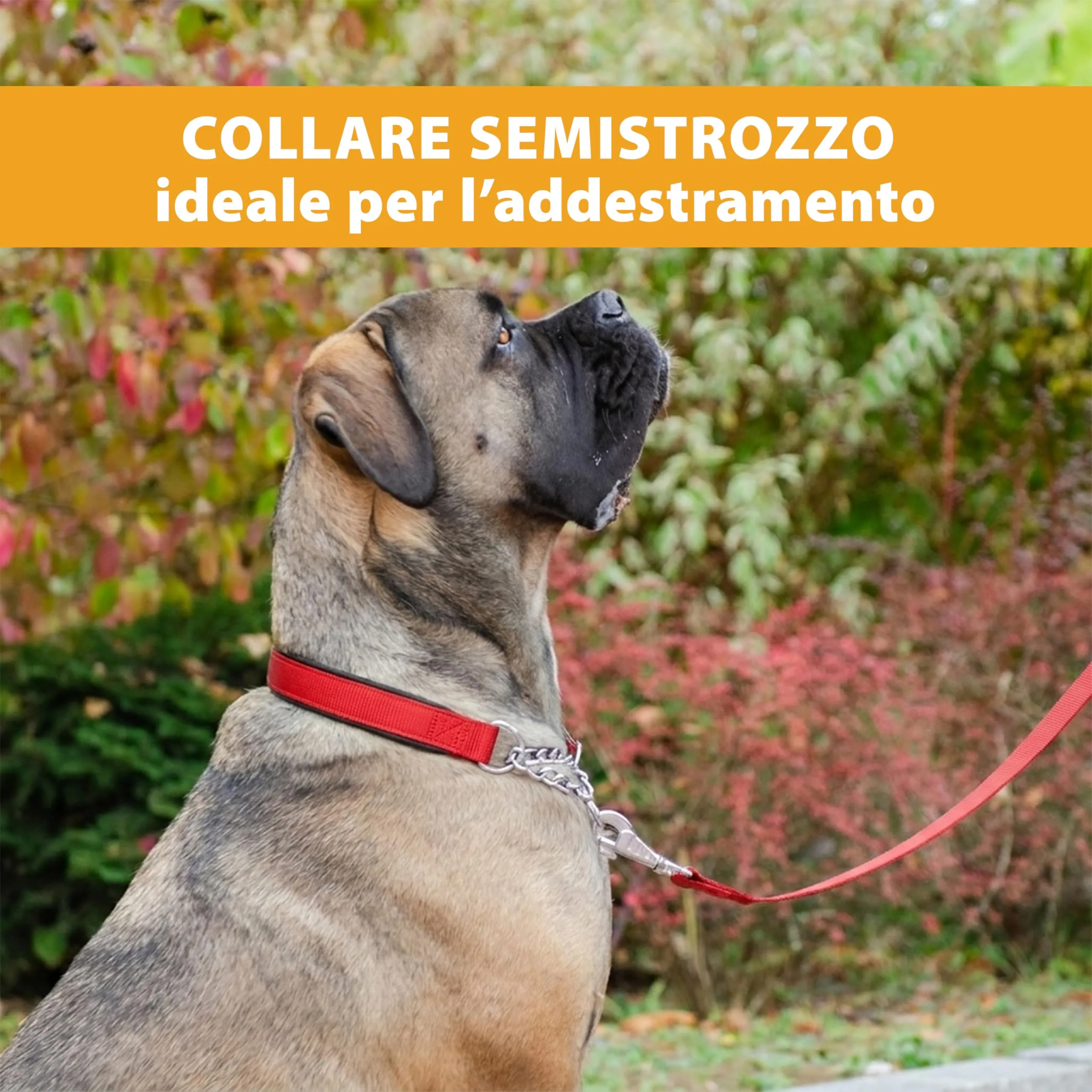 Ferplast Collare Cane Semistrozzo, in Nylon, Imbottito, Anti-trazione, per Addestramento Cani, XXL (Circonferenza Collo 55-65 cm) Rosso - immagine 5