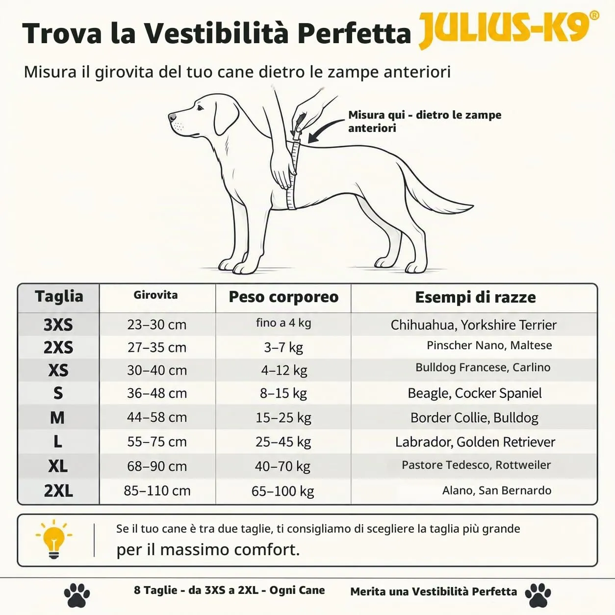 Julius-K9 162BR-MM Pettorina K9, Bordeaux - immagine 9