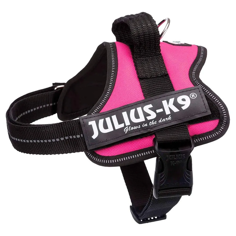 Julius-K9 162DPN-M Pettorina K9, Rosa Scuro - immagine 1