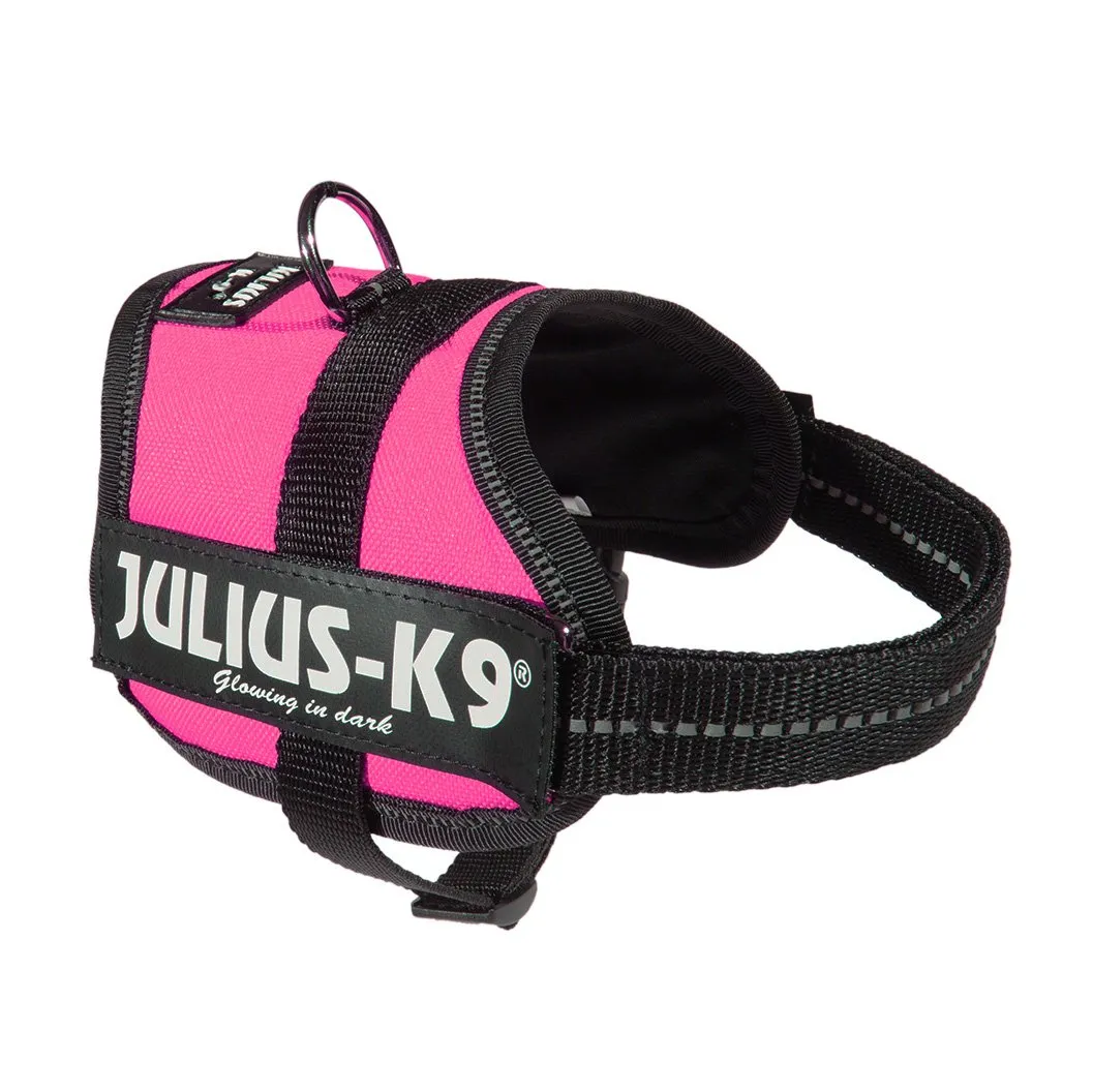 Julius-K9 162DPN-BB1 Pettorina K9, Rosa Scuro - immagine 3
