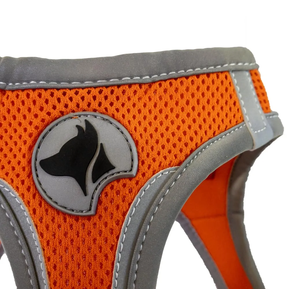 Croci C5081168 - Pettorina Riflettente Per Cani, Multicolore (Arancio), L, 1 Pezzo - immagine 2