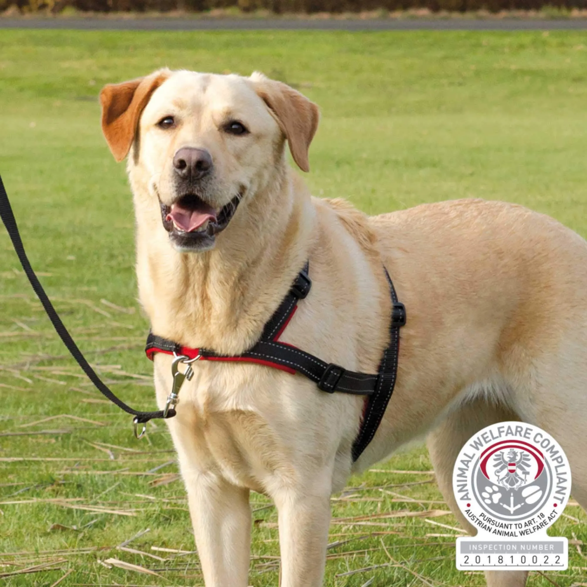 TRIXIE, Lead'n'Walk Soft Erziehungsgeschirr schwarz L-XL - immagine 2