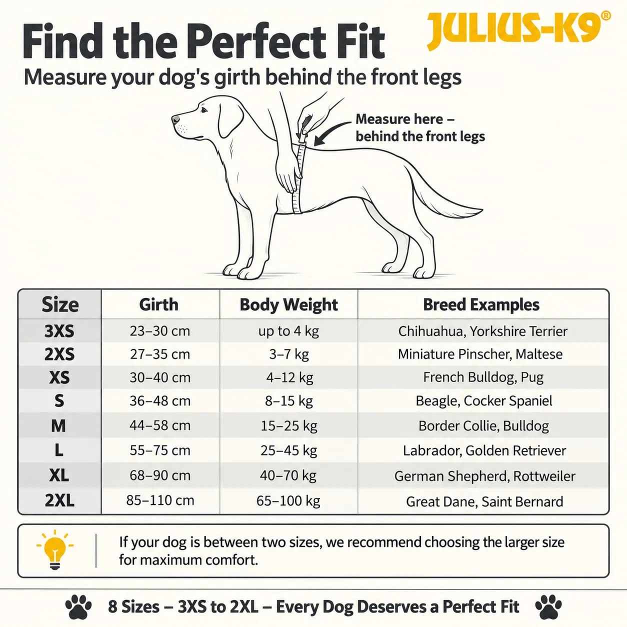 Julius-K9 Pettorina K9, Taglia: 2XS/Baby 2, Marrone (Mocca) - immagine 9