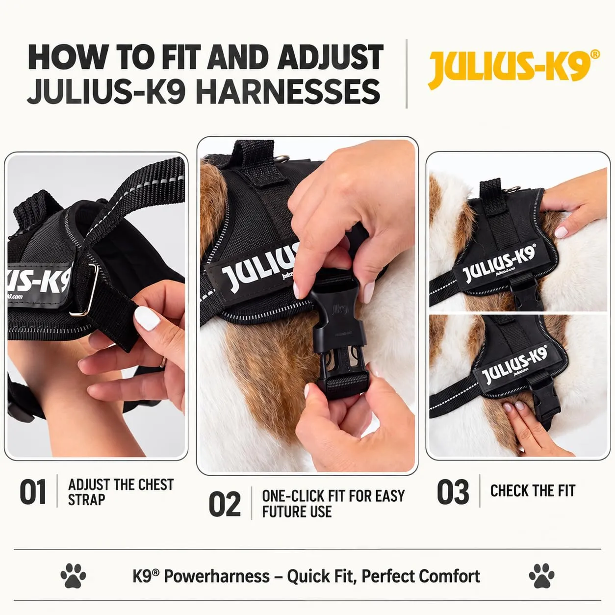 Julius-K9 Pettorina K9, Taglia: 3XS/Baby 1, Marrone (Mocca) - immagine 7