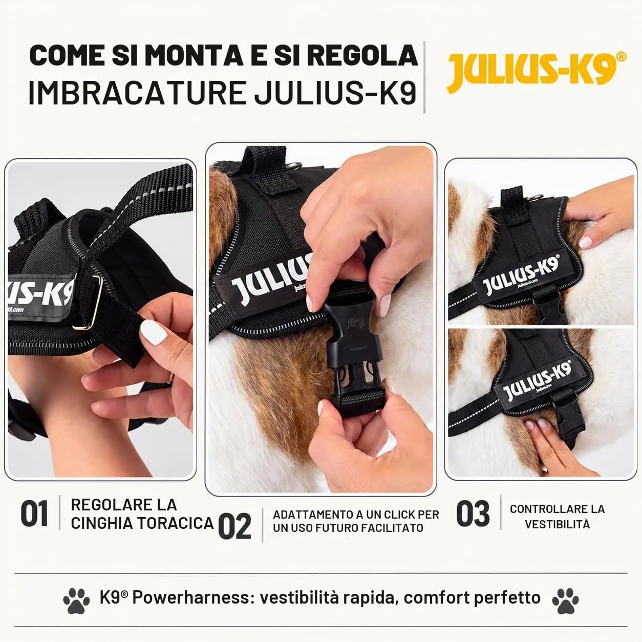 Julius-K9 Pettorina K9, Blu (Indaco), 2XL/3 - immagine 7