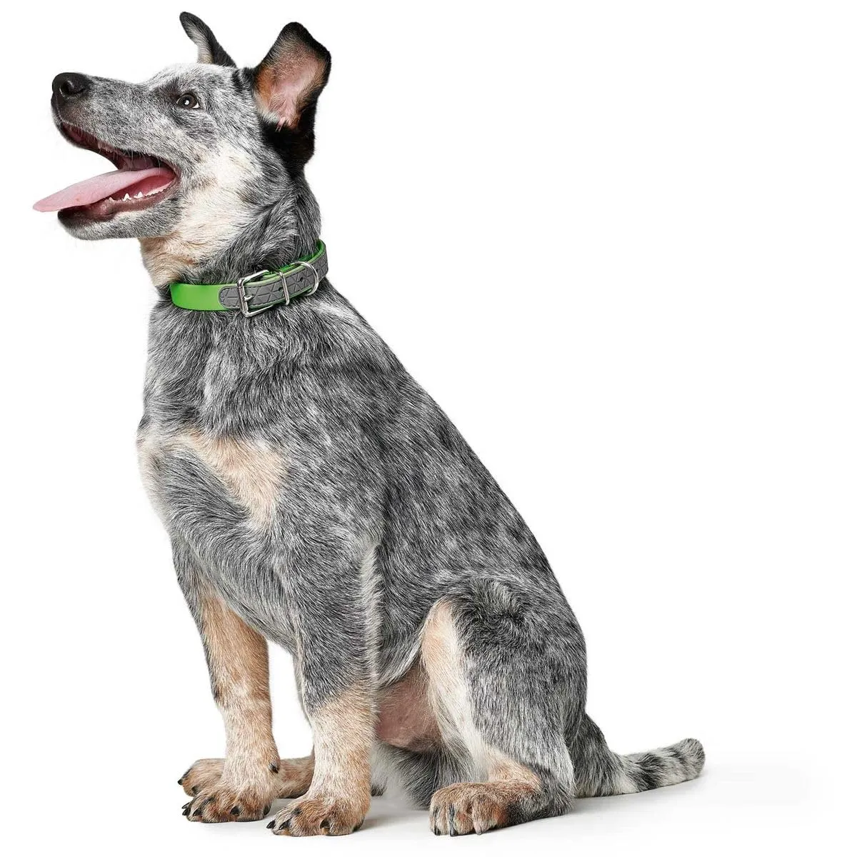 HUNTER CONVENIENCE COMFORT - Collare per cani, in neoprene, 55 M-L, verde mela - immagine 3